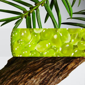 Perfume Lacoste L.12.12 Blanc Eau De Parfum para hombre, 100 ml